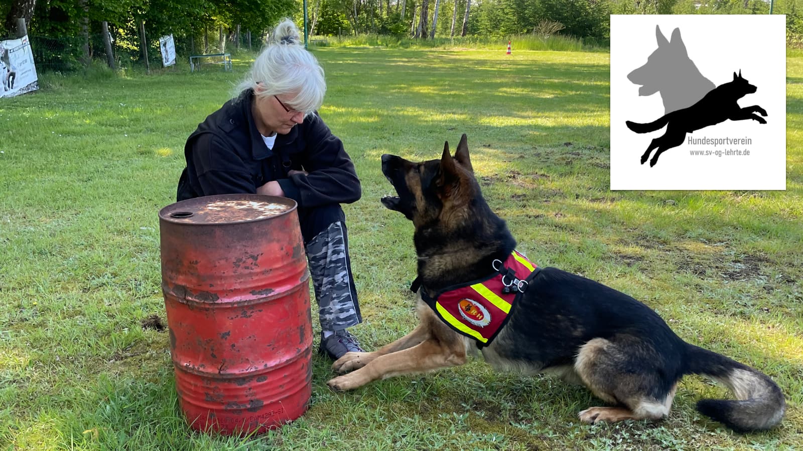 rettungshunde-lehrte-hund-sucht-in-steinfeld